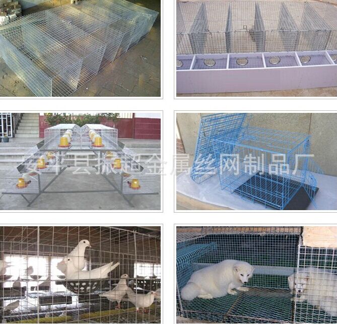 養殖電焊網 安平縣振超金屬絲網制品廠-www.tigii.cn