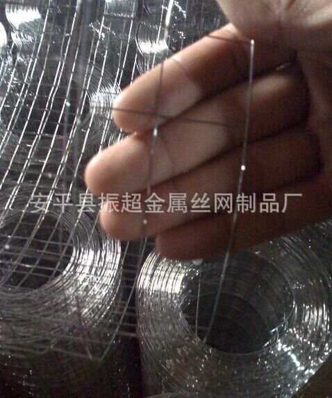 316不銹鋼電焊網 電焊網-www.tigii.cn
