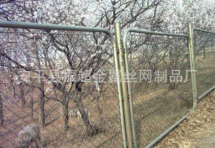 種植勾花網 安平縣振超金屬絲網制品廠-www.tigii.cn