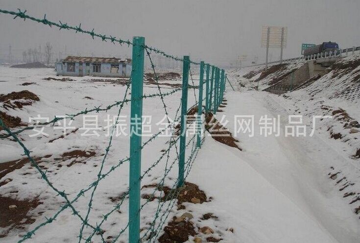 有刺鐵絲圍網(wǎng)www.tigii.cn