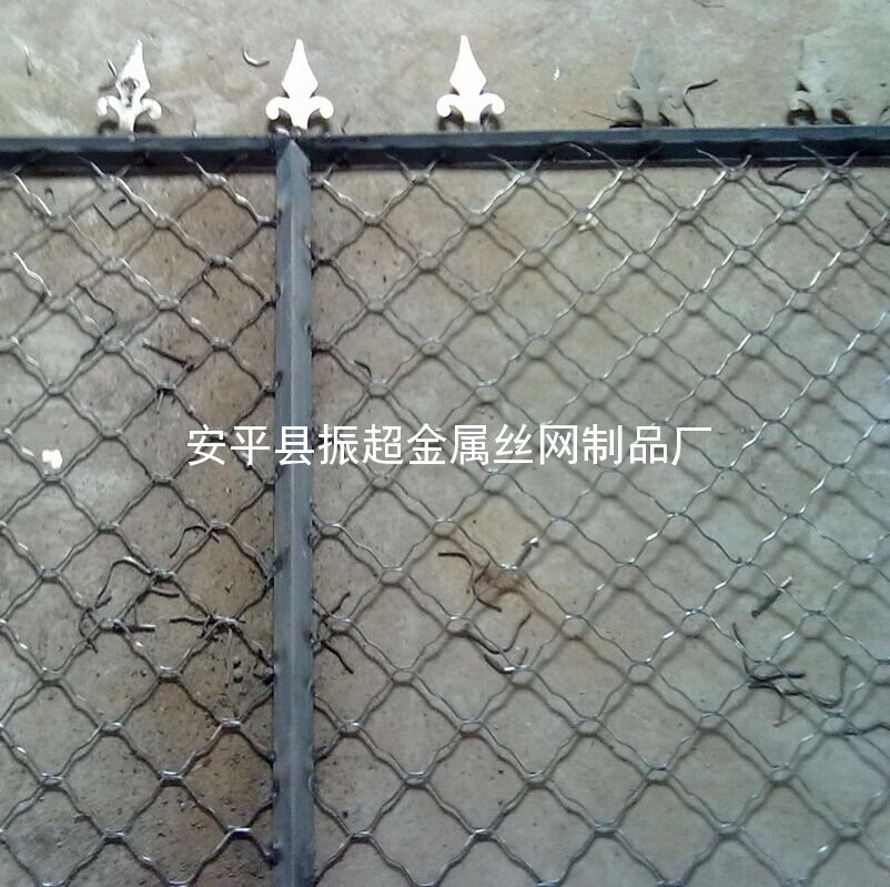 圍欄用鋼絲網(wǎng) 防護(hù)網(wǎng)-安平縣振超金屬絲網(wǎng)制品廠