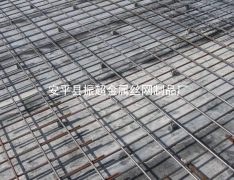加固用鐵絲網(wǎng)