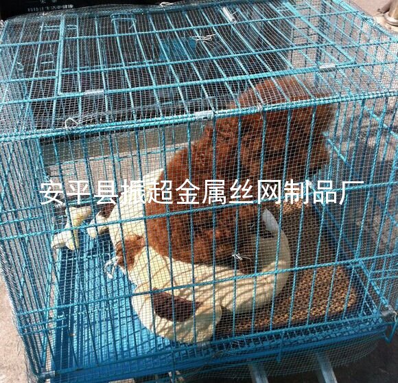 鐵絲網(wǎng)籠-http://www.tigii.cn