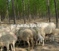 養殖防護網