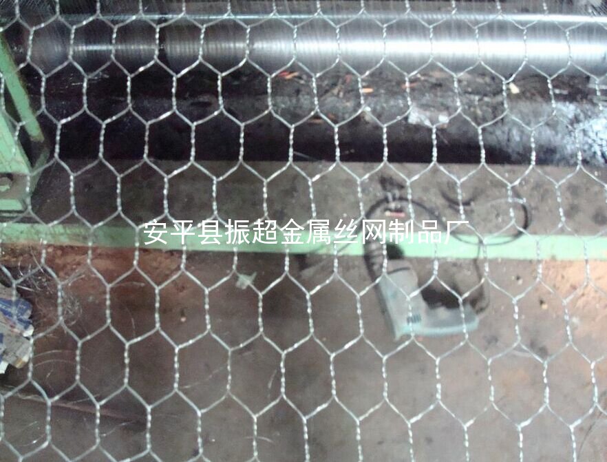 養(yǎng)雞防護(hù)網(wǎng)-安平縣振超金屬絲網(wǎng)制品廠www.tigii.cn