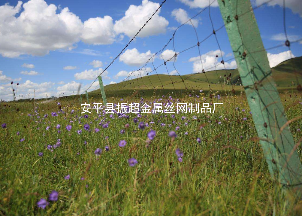 草原鐵絲網圍欄-www.tigii.cn