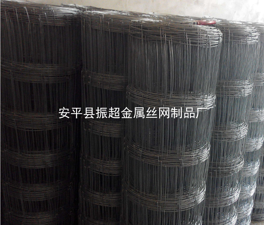 草原鐵絲網-www.tigii.cn