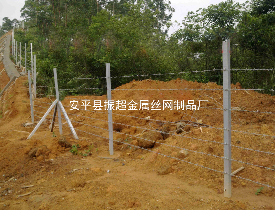 帶刺鐵絲網(wǎng)www.tigii.cn