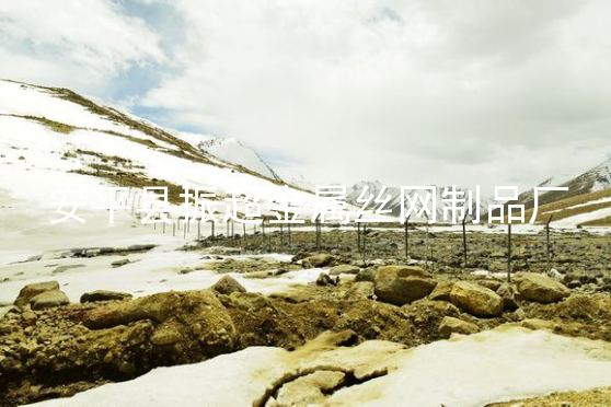 邊界鐵絲網(wǎng)-www.tigii.cn
