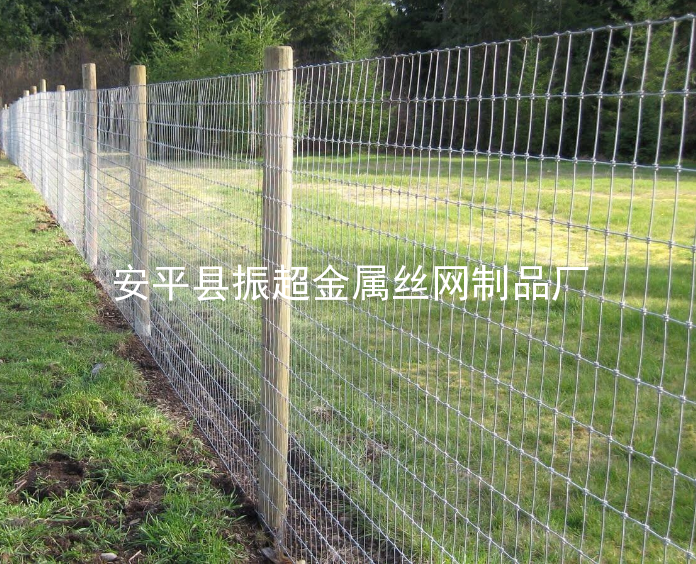 草原圍網-www.tigii.cn