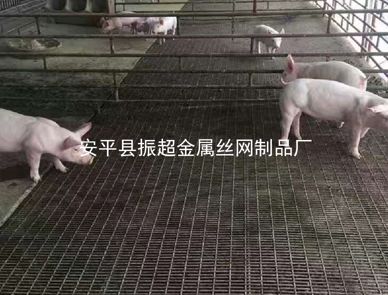 鐵絲網保育床,鐵絲網產床-www.tigii.cn