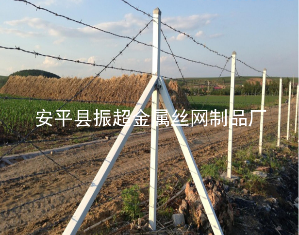 有刺鐵絲圍網，帶刺鐵絲圍欄-www.tigii.cn