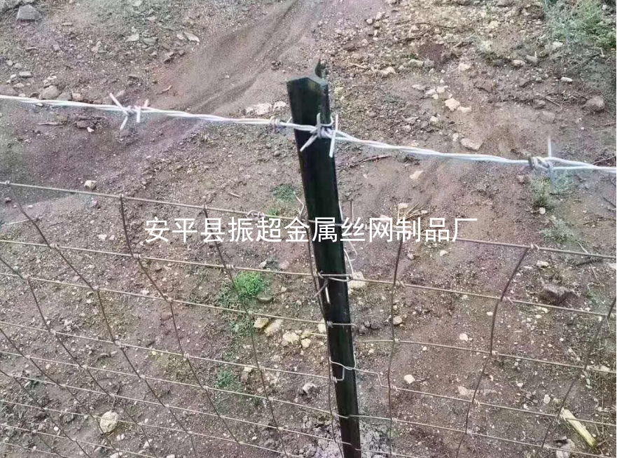 圈羊鐵絲網,圈牛鐵絲網-www.tigii.cn