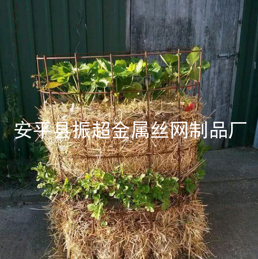 鐵絲網花藍-www.apzhenchao.con