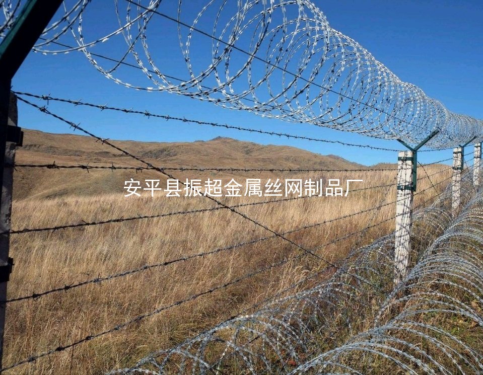 防御鐵絲網(wǎng)，有刺鐵絲網(wǎng)-www.tigii.cn