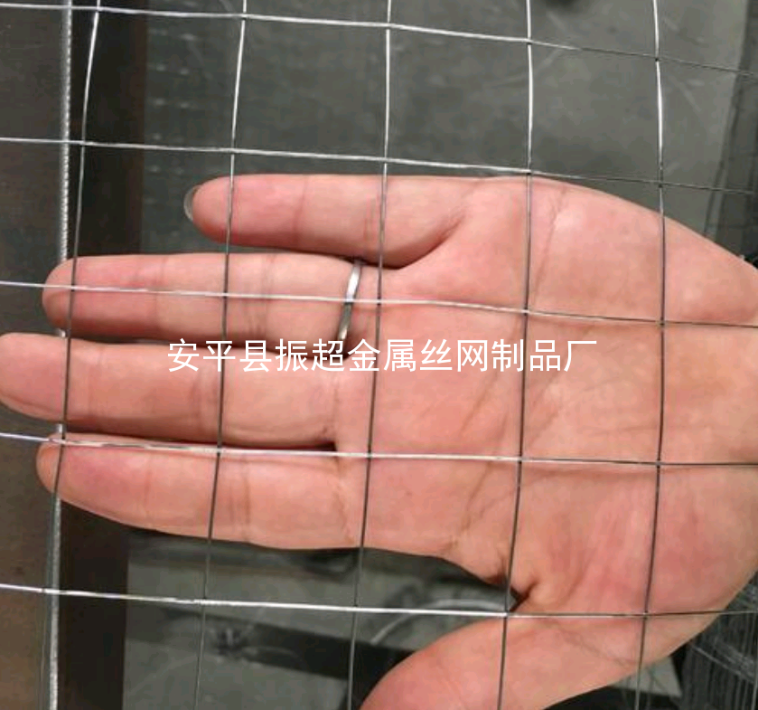 電焊鐵絲網(wǎng)-www.tigii.cn