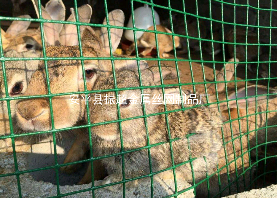 養殖鐵絲網，綠皮鐵絲網-www.tigii.cn