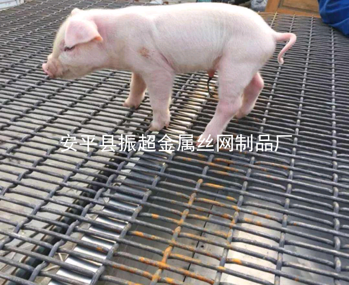 豬床鐵絲網-www.tigii.cn